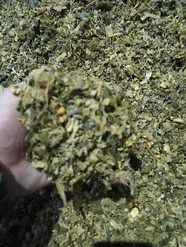 Кукурузный силос (корм для КРС) С погрузкой 6.50 Описание: - Однородно
