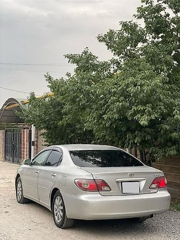 тойота корина: Toyota Windom: 2003 г., 3 л, Автомат, Газ, Седан — 4
