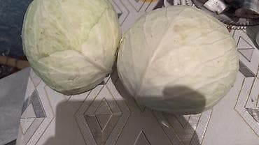 мясо продажа: Капуста Белокачанная — 1