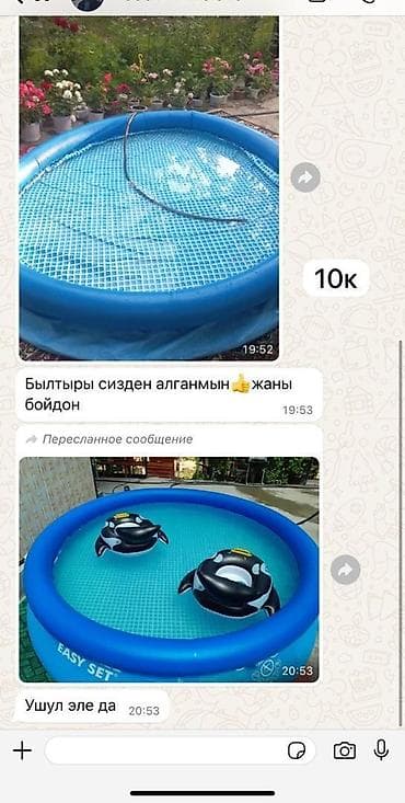 pul shark: Надувной бассейн Intex Easy Set 244 x 61 см - Серия: Easy Set (для — 5
