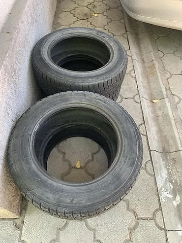 Шины 205 / 60 / R 16, Зима, Пара, Легковые, Dunlop — 1