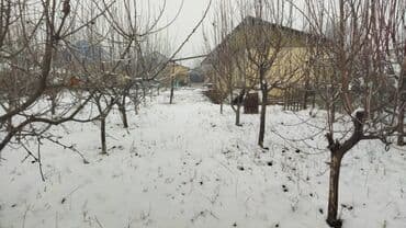 дом в чок тале: Үй, 80 м², 6 бөлмө, Менчик ээси — 2