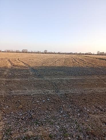 пахотная земля: 420 соток — 2