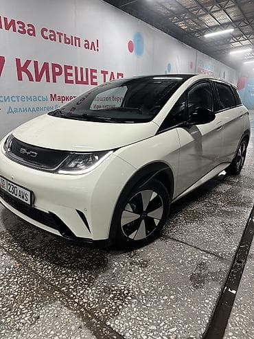 BYD Dolphin: 2023 г., Автомат, Электромобиль, Хэтчбэк