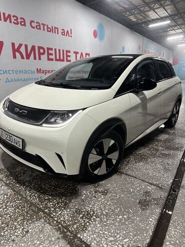 BYD Dolphin: 2023 г., Автомат, Электромобиль, Хэтчбэк