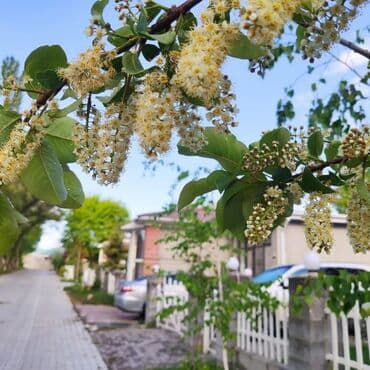 гостевые дома в бостери: Коттедж, 35/3, 4-комнатный ЦО Радуга West, Кош-Кол, Детская площадка, Парковка, стоянка, Охраняемая территория — 20