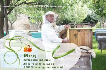 Мёд: Продаю оптом чистый натуральный Атбашинский мед с собственной — 1