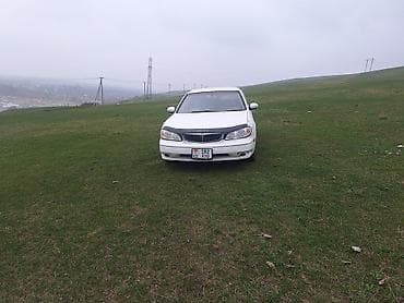 говновоз фото: Nissan Cefiro: 2003 г., 2 л, Автомат, Бензин, Седан — 1