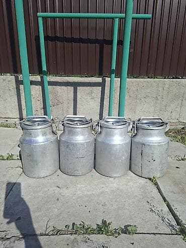 Продаю советские бидоны 10- литровые, 4шт