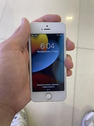 face id: IPhone SE, 128 ГБ, Серебристый, Защитное стекло, Чехол, Кабель, 100 % — 2