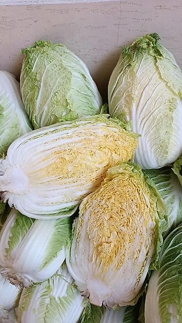 Фрукты: Капуста Пекинская — 2