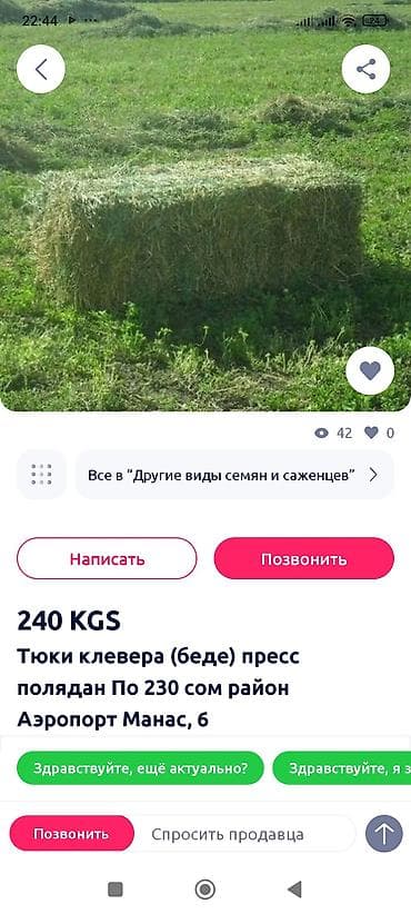 бишкек ит: Тюки клевера (беде), спрессованные. Заготовка с полей, прямоугольные — 1