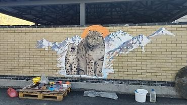 iphone хr: Роспись стен на ваш вкус и выбор от маленьких до бесконечных — 1