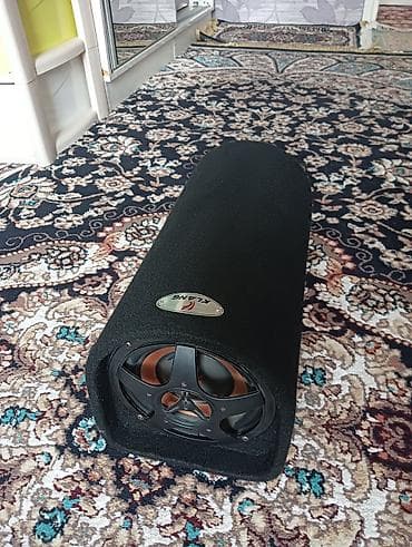 the one: Динамики и колонки — 1