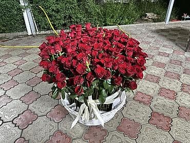 метровые розы: Розы Оптом! В пачках по 10ШТ! Длина 75 см! Белые-Красные! Одна роза 75 — 5