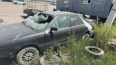 дево колос: Audi 80: 1991 г. — 1