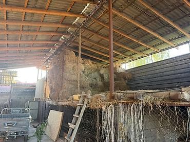 продажа гаражей: Крытый сельскохозяйственный комплекс/навес с хозпомещениями - — 3
