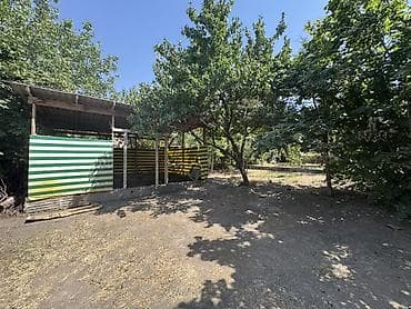 Продам дачу, собственник Сад плодородный Яблони, груши, королевский — 9