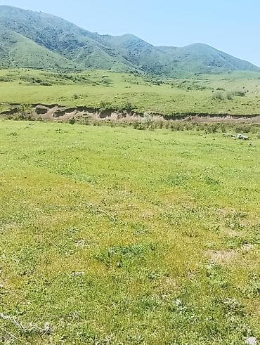 срочно продаю дешево: 10 соток, Для строительства, Красная книга — 3