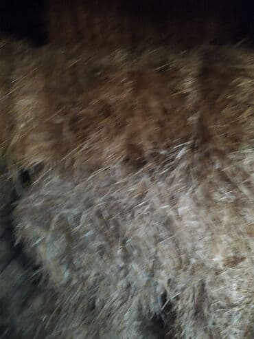 для капельного полива: Тюки соломы (прямоугольные, малые). - Плотно спрессованные — 3