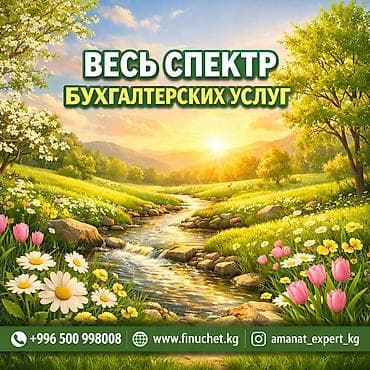 Бухгалтерские услуги | Подготовка налоговой отчетности, Сдача налоговой отчетности, Консультация — 1