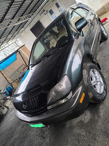 рекс средний: Lexus RX: 1999 г., 3 л, Автомат, Газ, Кроссовер — 3