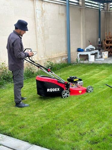 гектор от клопов бишкек: Стрижка газона Качественно Арча бешик Акордо Акөргө Джал Байтик — 1