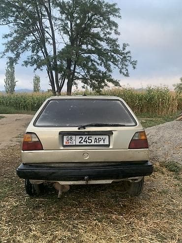 vag com: Volkswagen Golf: 1989 г., 1.8 л, Механика, Бензин, Хэтчбэк — 3