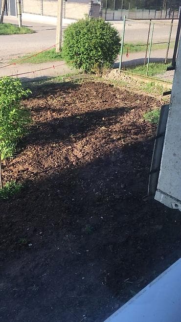 чортекова квартира: 4 комнаты, 88 м², 106 серия улучшенная, 1 этаж, Дизайнерский ремонт — 9