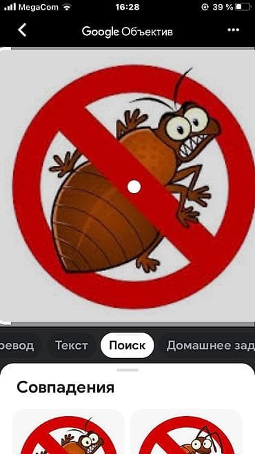 Клининговые услуги: Дезинфекция, дезинсекция, | Клопы, Блохи, Тараканы, | Транспорт, Офисы, Квартиры — 9