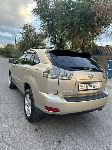 леопард авто: Lexus RX: 2004 г., 3.3 л, Автомат, Бензин, Кроссовер — 1