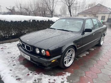 BMW 5 series: 1993 г., 4.4 л, Механика, Бензин