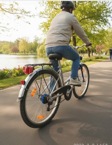 рейтинг детских велосипедов от 3 лет: Горный велосипед, Alton, Рама M (156 - 178 см), Сталь, Б/у — 1