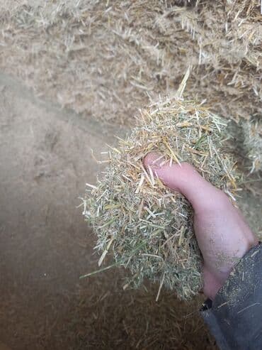 оборудование для шелкографии бишкек: 💥Продаётся пневмо зерно-сенодробилка 7,6 кВт(Шмель🐝)! Новая! — 9