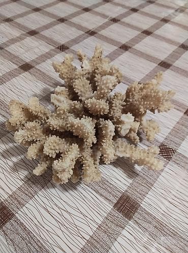 средство для роста бороды бишкек: Продам вот этот карал,кто заинтересован пишите, звоните отдам не — 3