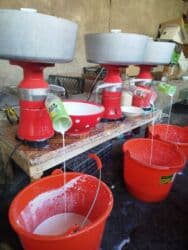 оборудование для мороженого: Ош шары оптом розницу постоянно айран сатам. каждый день базарга барам — 2