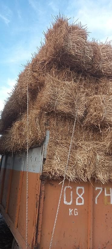 Солома в тюках буудай саман тук - Прессованные прямоугольные тюки