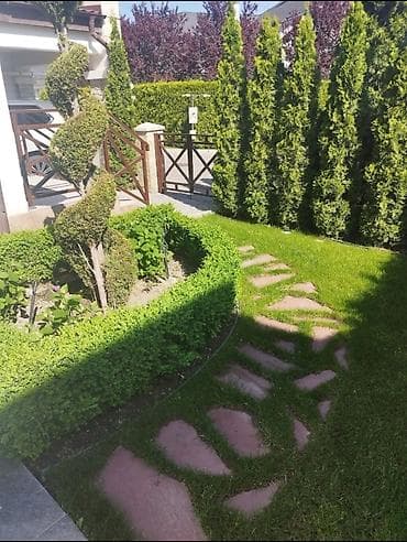 porter 2: Дизайн | Дома — 5