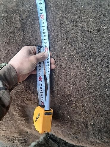 Корма для с/х животных: Продаю | Бык (самец) | Осеменитель — 1