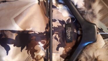 шуба кроликовая: Шубка. ОЧЕНЬ милая ) . Натуральная. под норку (стриженый козлик) — 4