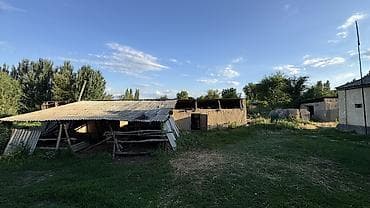 all group: 25 соток — 5