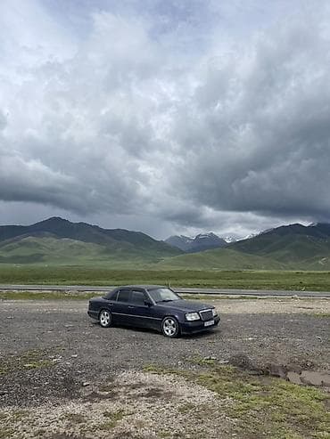 Mercedes-Benz W124: 1995 г., 2.2 л, Автомат, Газ, Седан