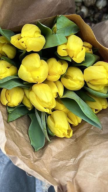 тулпар базар: 🌷 Нежный букет из тюльпанов — идеальный подарок для тех, кого вы — 6