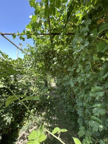 продаю дом в новопокровка: Дом, 138 м², 8 комнат, Агентство недвижимости — 2