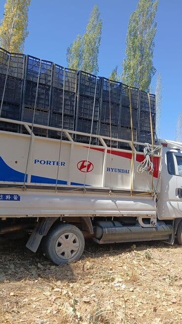 резина at: Жеңил жүк ташуучу унаа, Kia, Стандарт, 1ге чейин т — 6