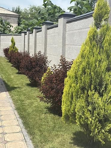 работа недвижимость: * ✔️ Стрижка туи, елей, можжевельника * ✔️ Формирование шаров — 9
