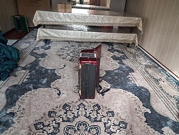 велотренажер купить: Аккордеон (клавишный) в красно-перламутровом корпусе. Характеристики — 4