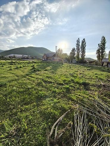 земля в беловодске: 5 соток, Красная книга — 10