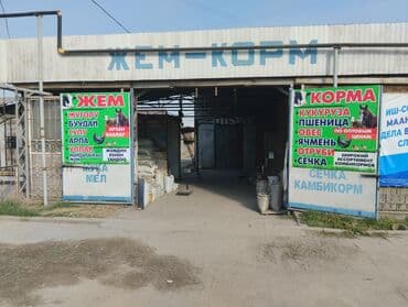 филе курицы: Корм для скота. Оптовые цены!!! корма высокого качества !!! Адрес — 1