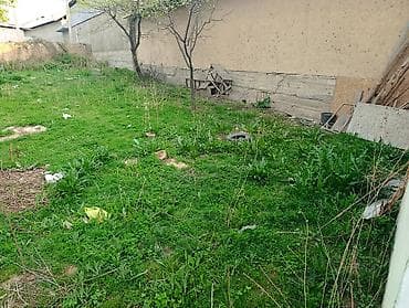 дом комсомолское: Продаётся дом !район Черемушки, МЖК1 больше 10 соток! срочная — 9